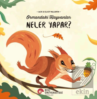 Ormandaki Hayavanlar Neler Yapar?