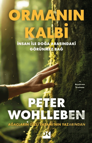 Ormanın Kalbi
