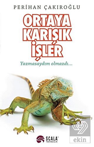 Ortaya Karışık İşler