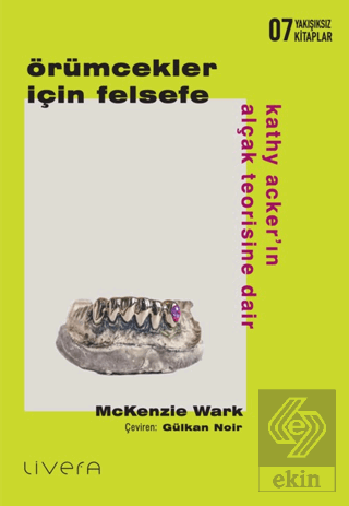 Örümcekler İçin Felsefe: Kathy Acker'ın Alçak Teorisine Dair