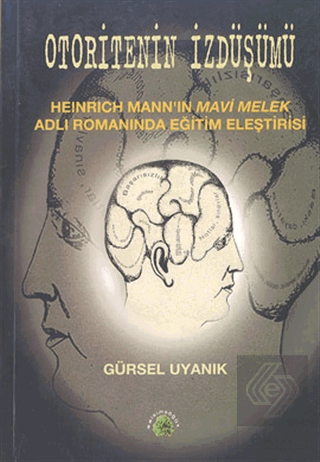 Otoritenin İzdüşümü