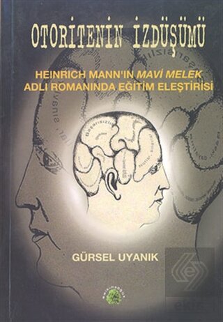 Otoritenin İzdüşümü