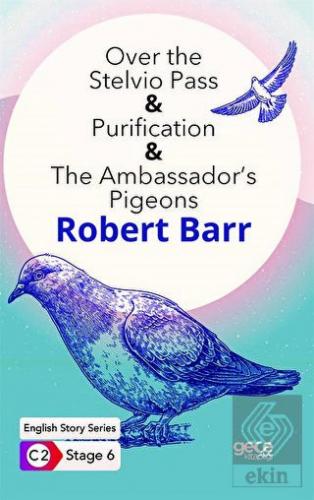 Over the Stelvio Pass - Purification - The Ambassa