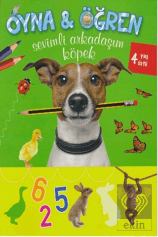 Oyna - Öğren / Sevimli Arkadaşım Köpek