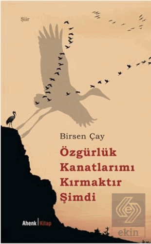 Özgürlük Kanatlarımı Kırmaktır Şimdi