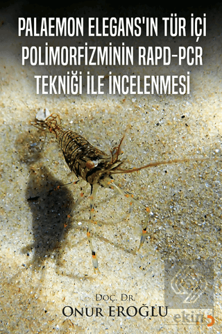 Palaemon Elegans'ın Tür İçi Polinorfizminin Rapd-Pcr Tekniği ile İncelenmesi