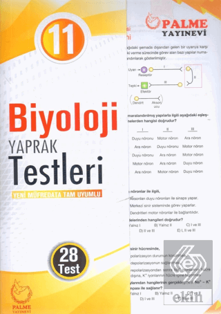 Palme Yaprak Test 11. Sınıf Biyoloji