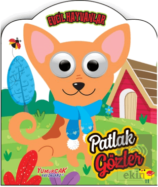 Patlak Gözler - Evcil Hayvanlar