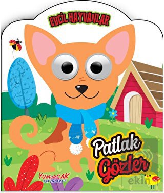 Patlak Gözler - Evcil Hayvanlar