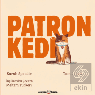 Patron Kedi Sarah Speedie Okuyan Koala Satın Al - ekinkitap.com