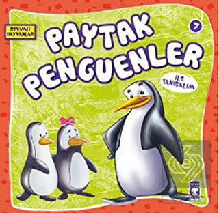 Paytak Penguenler ile Tanışalım