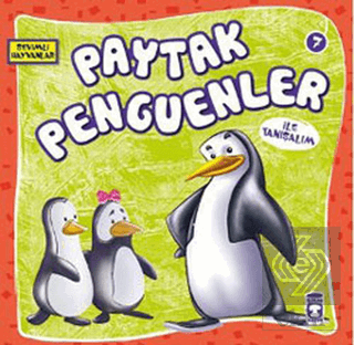 Paytak Penguenler ile Tanışalım