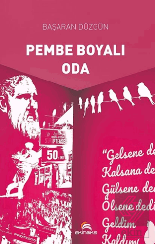 Pembe Boyalı Oda