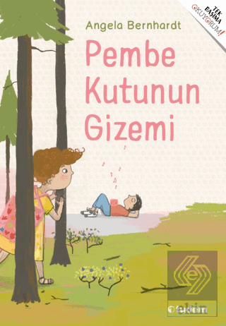 Pembe Kutunun Gizemi