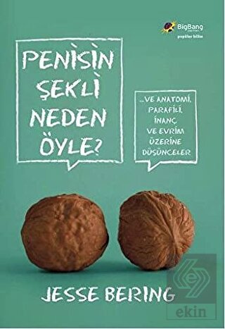 Penisin Şekli Neden Öyle?