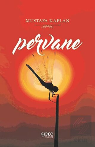 Pervane