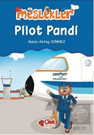 Pilot Pandi