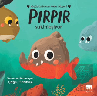 Pırpır Sakinleşiyor