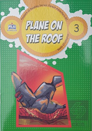 Plane On The Roof - 3