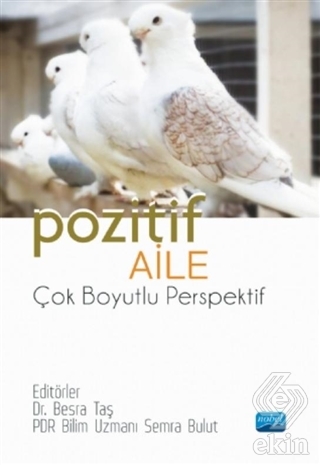 Pozitif Aile - Çok Boyutlu Perspektif