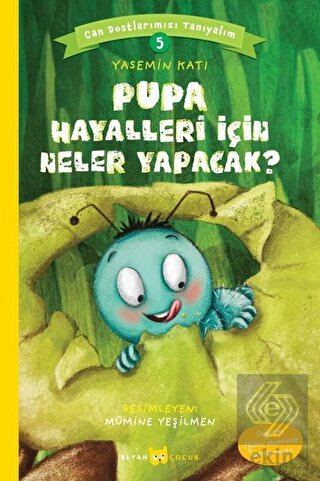 Pupa Hayalleri İçin Neler Yapacak? - Can Dostlarım