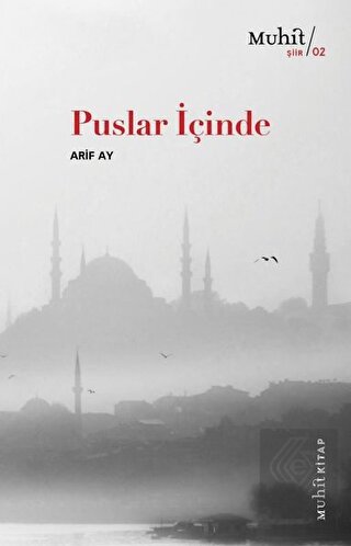 Puslar İçinde
