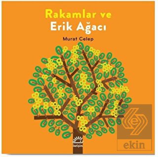 Rakamlar ve Erik Ağacı