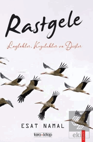 Rastgele; Leylekler, Kozalaklar ve Düşler