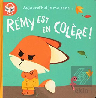Remy Est En Colere