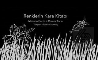 Renklerin Kara Kitabı