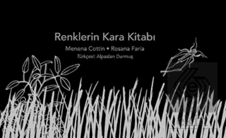 Renklerin Kara Kitabı