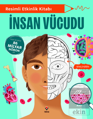 Resimli Etkinlik Kitabı - İnsan Vücudu