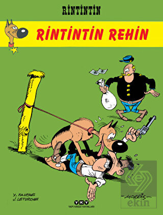 Rintintin - Rintintin Rehin