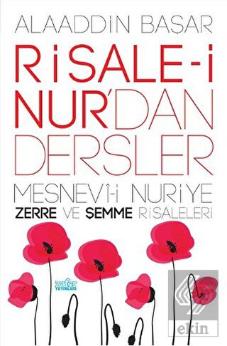 Risale-i Nur'dan Dersler