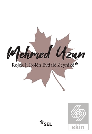 Rojek Ji Rojen Evdale Zeynike