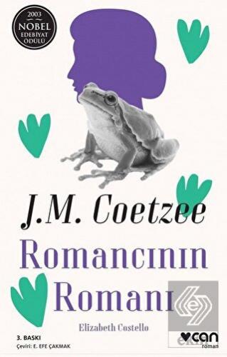 Romancının Romanı