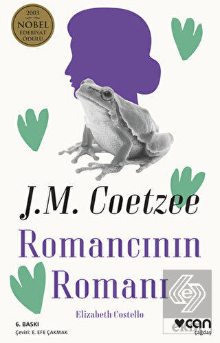 Romancının Romanı