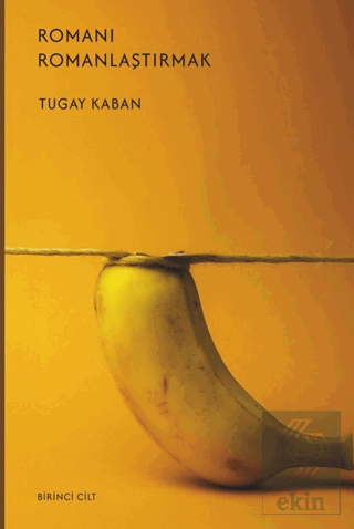 Romanı Romanlaştırmak