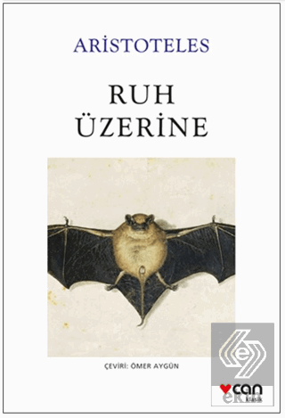 Ruh Üzerine