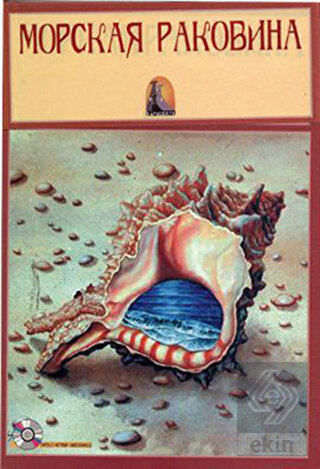 Rusça Hikaye Deniz Kabuğu - Sesli Hikaye
