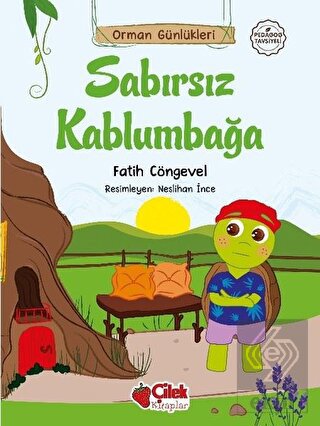 Sabırsız Kaplumbağa