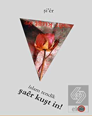 Şaer Kuşt İn!