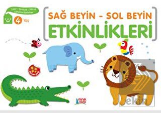Sağ Beyin - Sol Beyin Etkinlikleri (4 Yaş)