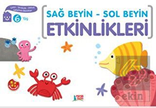 Sağ Beyin - Sol Beyin Etkinlikleri (6 Yaş)