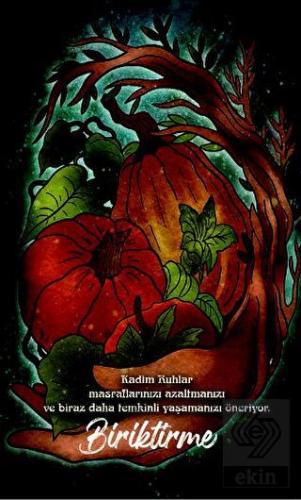 Şaman Defterleri - Biriktirme