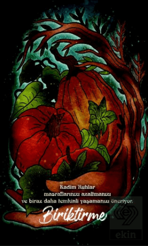 Şaman Defterleri - Biriktirme