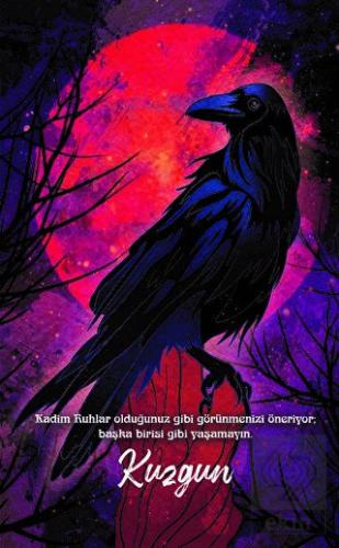 Şaman Defterleri - Kuzgun