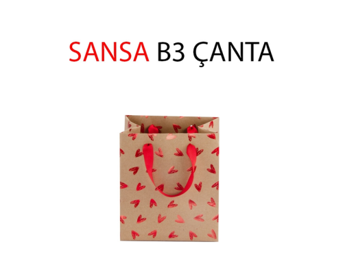 SANSA B3 KARTON ÇANTA
