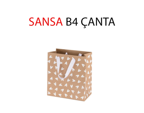 SANSA B4 KARTON ÇANTA