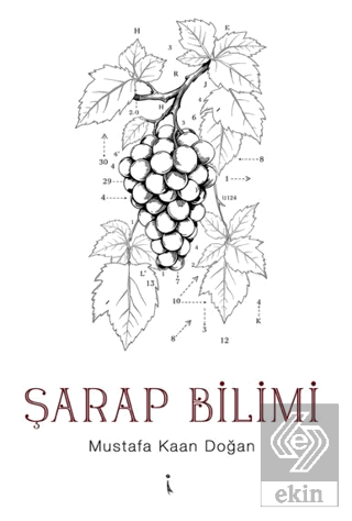 Şarap Bilimi